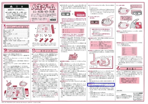 人生ゲーム　ルール　青枠部分